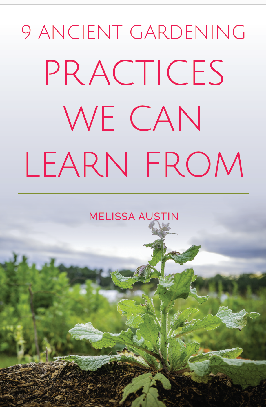 9 Ancient Gardening Practices We Can Learn From