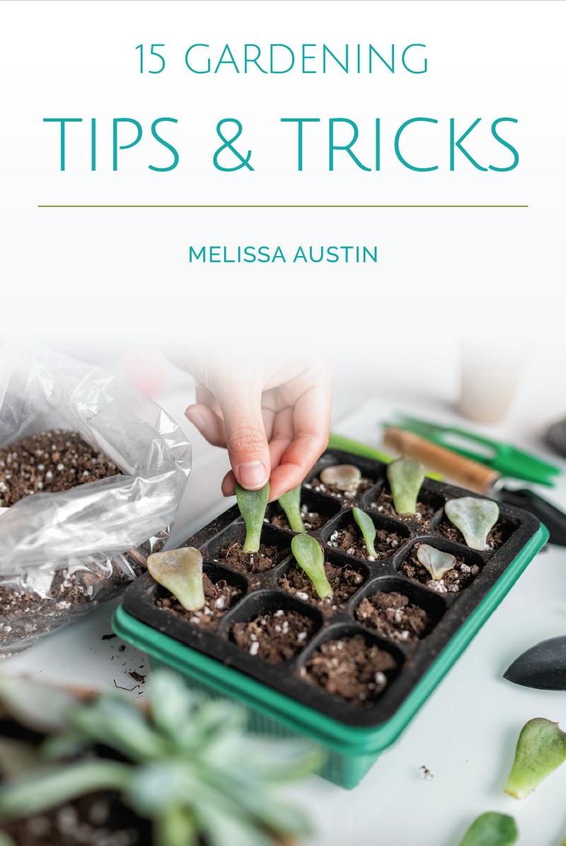 15 Gardening Tips & Tricks