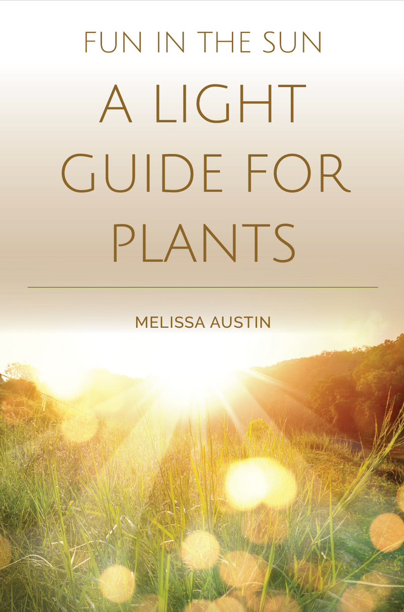 Fun in the Sun: A Light Guide for Plants
